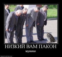 10 странных экспериментов с эмбрионами животных