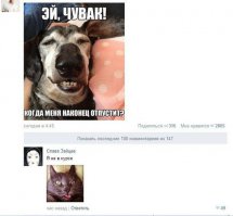 20 собак, которые не знают, как нужно улыбаться