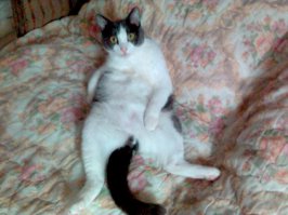 Фотоподборка за 28.05.2015