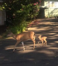 16 самых неудачных попыток изобразить диснеевских персонажей