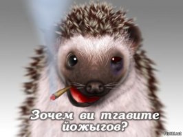  Одиночный «дикий» поход по реке Анадырь.. Часть 2 