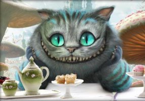 17 котов с плоскими мордами и разбитыми мечтами