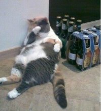 Неудачные фотографии животных