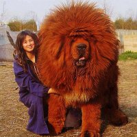 Фотоподборка за 28.05.2015