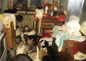 А вот так выглядит вторая комната квартиры находчивого изобретателя.