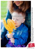 Петушок Золотой гребешок :)