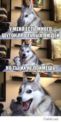 20 собак, которые не знают, как нужно улыбаться