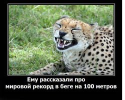 Древние люди, которые могли победить лучших современных звёзд спорта  