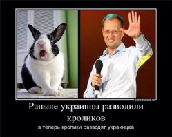 Кролики знают толк в зелени! )