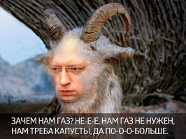 Кролики знают толк в зелени! )