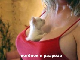 20 самых разных вещей в разрезе