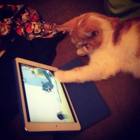 Моя засранка по кличке Базука.