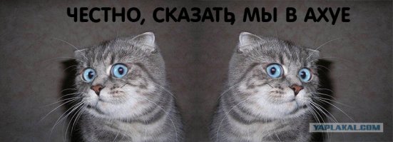 Самый большой в мире круизный лайнер