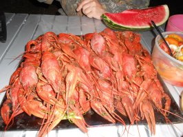 А мы вот так в Астраханской области на рыбалке вечера коротали)