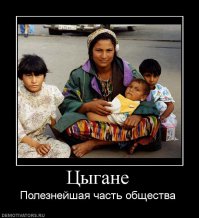 Цыгане воруют алкоголь в Финском Супермаркете