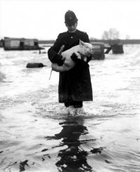 почему то мне пришла в голову подпись:
"Хороший у нас будет ужин!"