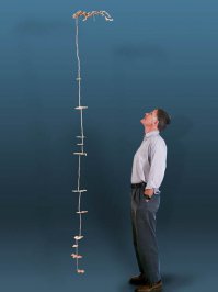 Муравейник заливают какой то нляпой типа свинца, потом выкапывают, отмывают грунт и получают вот такую вот красоту