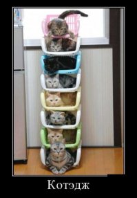 Мебель для животных — идеи дизайна интерьера