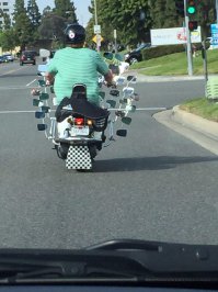 Интересно, сколько у него глаз ???