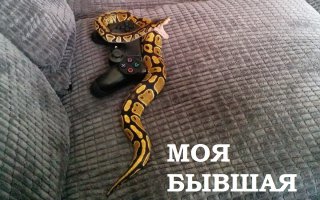 Фотоподборка за 29.05.2015