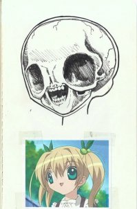 анатомия аниме