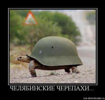 12 невероятных фактов, которые скрывают черепахи под своим панцирем