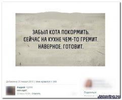 Подборка демотиваторов 