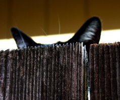 Фильтр воздушный поменять надо!!!