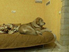 Вот то же добрая душа!