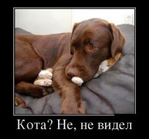 Спорим, вы этого не знали