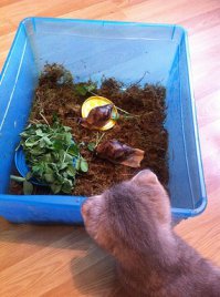 пойду чтоль массаж лица сделаю себе. а то думаю, на(йух)а она мне нужны