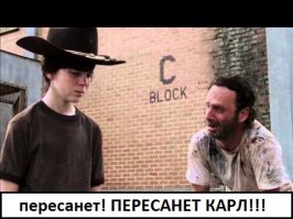 20 счастливых животных, которые хотят, чтобы им почесали животики  