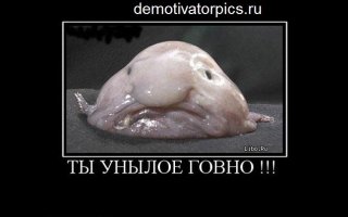 Все им не так, все им не то