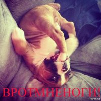 10 самых удивительных космических объектов