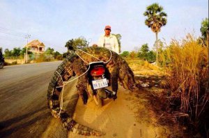 Пусть бегут неуклюже
Пешеходы по лужам
А вода по асфальту рекой
И не ясно прохожим
В этот день непогожий
Почему я весёлый такой