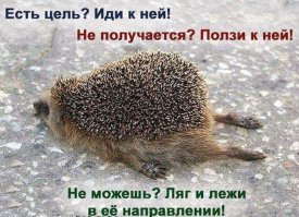 Фишкина солянка