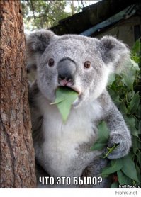 Молния попала в Останкинскую телебашню 