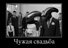 Сначала свадьба - потом дети!