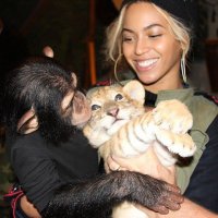 Как ни инстаграмь, а "Полосатый рейс" всё равно ближе и роднее:)