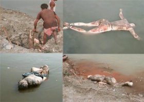 А это река Ганг, я бы тоже сюда не рискнул соваться.