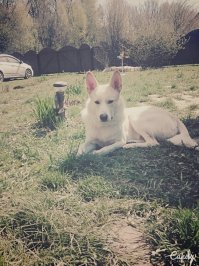 Мой красавЕц!