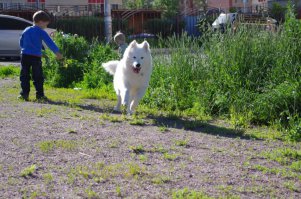 Немного моей самоедки.