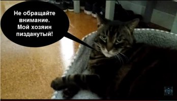 кот в <span style='color:gray'>[мат]</span> ...