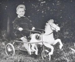 Это лошадка. Она ему дорога как память. :)