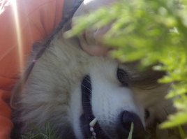 Терпит детей.