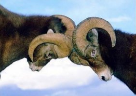 Ну чего тут сказать )))