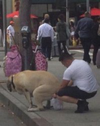 Фотоподборка за 01.06.2015