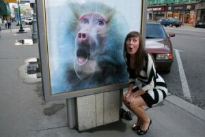 Фотоподборка за 01.06.2015