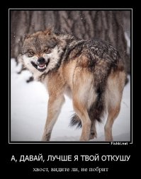 15 вещей, которые мужчины хотели бы сказать женщинам