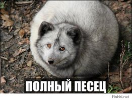 Сумасшедшие японские розыгрыши